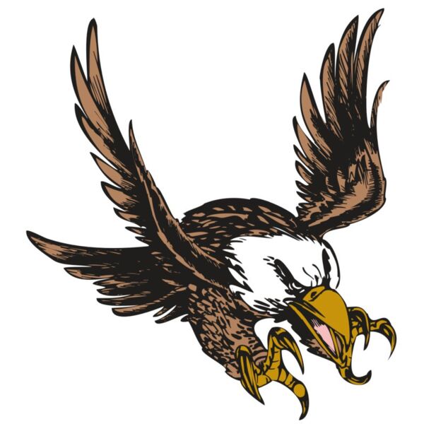 BAW EAG 05 RC Thumbnail