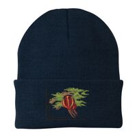 Knit Cap Thumbnail