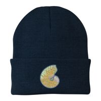 Knit Cap Thumbnail