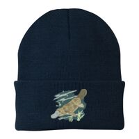 Knit Cap Thumbnail