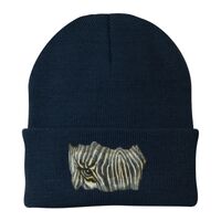 Knit Cap Thumbnail
