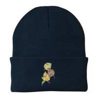 Knit Cap Thumbnail