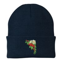 Knit Cap Thumbnail