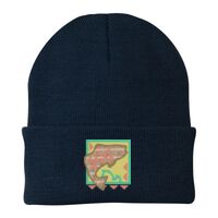 Knit Cap Thumbnail