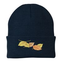 Knit Cap Thumbnail