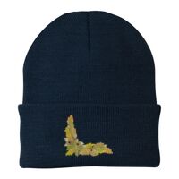 Knit Cap Thumbnail