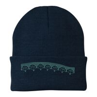 Knit Cap Thumbnail