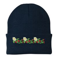 Knit Cap Thumbnail