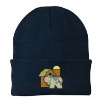 Knit Cap Thumbnail