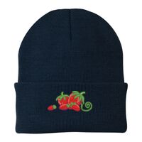 Knit Cap Thumbnail