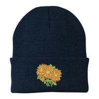 Knit Cap Thumbnail
