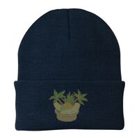 Knit Cap Thumbnail