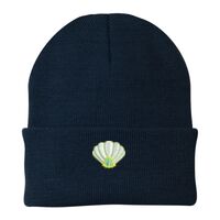 Knit Cap Thumbnail
