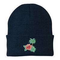 Knit Cap Thumbnail