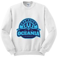 NuBlend ® Crewneck Sweatshirt Thumbnail