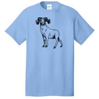 Core Cotton Tee Thumbnail