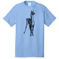 Core Cotton Tee Thumbnail